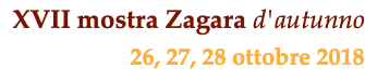 XVII mostra Zagara d'autunno 26, 27, 28 ottobre 2018 